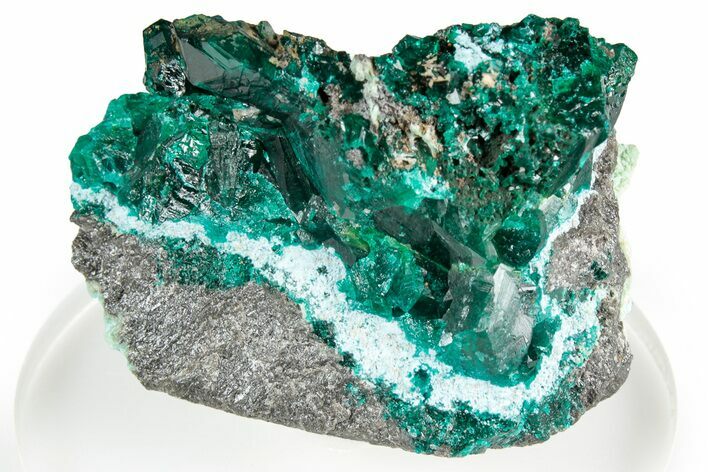 Lusterous Dioptase Crystal Cluster on Plancheite - Congo #346124